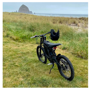 2025 LIGHT BEE X Motocicleta eléctrica diseñada para resistencia-Conducción y comodidad en carretera - Product Image 3