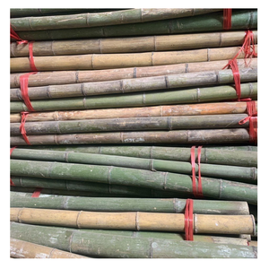 เสาไม้ไผ่คุณภาพสูงสำหรับใช้ในสวนรั้วเรือนกระจกและใช้ DIY จากผู้ส่งออกเวียดนาม - Product Image 2