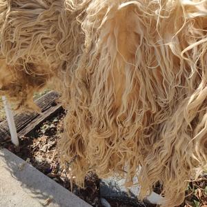 Laine de mouton brute - lavée à l'huile - approvisionnement en vrac pour la production textile, artisanale et de fil - Product Image 3