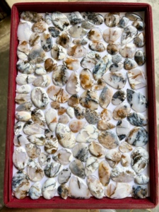 Ágata Dendrítica Natural Pulida, Piedra Preciosa Suelta para la Fabricación de Joyas, Venta al por Mayor - Product Image 2