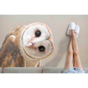 Alfombra Estampada: Diseño Contemporáneo, Perfecta para Loft, Escaleras y Regalos de Inauguración, Alfombra Suave No Tejida - Product Image 2