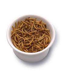 Vente en gros directe d'usine, vers comestibles riches en protéines, nourriture riche en nutriments, vers de farine noirs séchés, nourriture pour oiseaux, amphibiens - Product Image 2