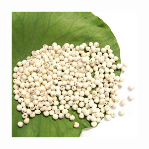 Graines de lotus séchées certifiées, meilleur prix, Vietnam, bio, haute qualité - Product Image 4