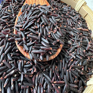 Premium Quality Hot Selling Chef Choice Black Rice Long <b>Grain</b> Good for Health Naturally Grown 5Kg 10Kg 25Kg 50Kg +84 971827680 - Product Image 3