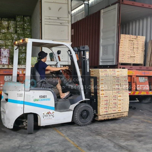 Jugo de piña YOOH Premium 240ml Bebidas enlatadas Grado de exportación Suministro al por mayor de alto volumen - Product Image 4