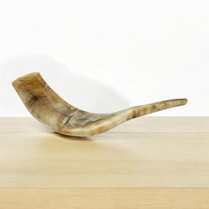 Shofar de Cuerno de Carnero de Primera Calidad, Shofar Natural para Tocar en Rosh Hashaná, Shofar Kosher de Primera Calidad, Cuerno de Carnero Pulido - Product Image 1