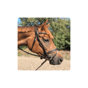 Bride en cuir de cheval de fabricant indien de haute qualité à vendre Bride à mordiller Tokyo personnalisée pliée - Product Image 1