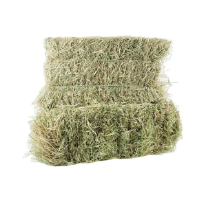 Foin Alfafa de qualité supérieure pour l'alimentation des animaux Foin de luzerne Foin de Timothy Prix réduit - Product Image 3