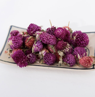 Ingrédient d'origine vietnamienne de fleur de Gomphrena globosa séchée naturelle pure pour la fabrication de pot-pourri et de thé