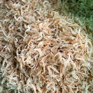 HOT SALE FOR SEAFOOD: DRIED BABAY SHRIMP FROM VIETNAM - READY TO SHIP