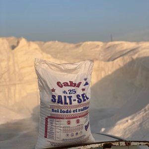 Sal de Mesa Refinada Egipcia de Alta Pureza en Polvo, Bolsa de 25 kg, Sal Alimentaria Fina, Sal Gabi, 24 Meses de Vida Útil, Confiable - Product Image 1