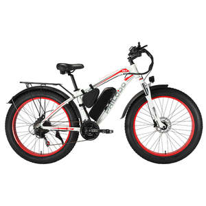 Alibaba.com上の高品質なフィロド電動自転車メーカーとフィロド電動