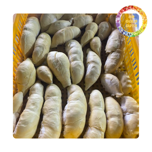 Frozen Durian | In pulp and whole form | Sweet & Creamy | Bulk supply - Product Image 6