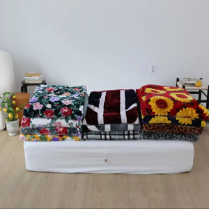 Couverture en microfibre de vison, design réversible, style coréen, douce et moelleuse, double face, confortable, chaude, toute saison, literie de luxe - Product Image 1