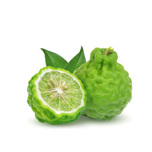 Kanha Nature Oils Calidad Premium Bergamota Hydrosol Aceite esencial puro Cáscara de cítricos Fabricante indio Precio al por mayor a granel Comprar - Product Image 4