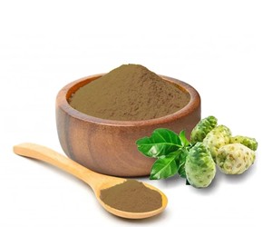 Polvo de Fruta de Noni Natural a Granel y al por Mayor, Ideal para Alimentos Saludables, Té de Hierbas y Bebidas Funcionales - Product Image 4