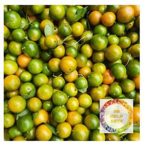 Kumquat calamansi JUICE น้ำซุปข้นธรรมชาติสกัดเย็นซิตรัสสำหรับเครื่องดื่มเบเกอรี่และตลาดส่งออก - Product Image 6