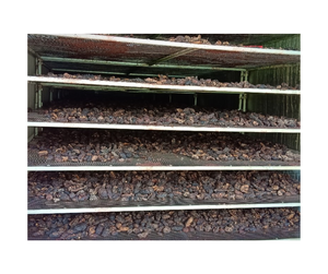 Fruta de Noni Seca de Alta Calidad de Vietnam - Rodajas de Morinda Citrifolia Secas al Sol para Procesamiento de Alimentos y Suplementos - Product Image 6