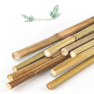Soporte de estaca de bambú plantado natural para jardín de tratamiento para flores/palos de bambú para Decoración en Vietnam - Product Image 1