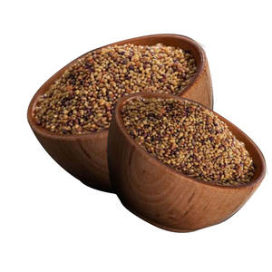 Berseูโคลเวอร์ | อาหารสัตว์ที่มีเส้นใยต่ำเพื่อการย่อยได้ง่าย - Product Image 1