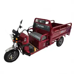 Hot Selling electric Cargo Bike Ebike E tricycles for sell