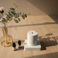 Mini ventilateur de parfum de parfum envoyé par air portatif de ventilation à l'intérieur du diffuseur d'arome avec ventilateur entraîné