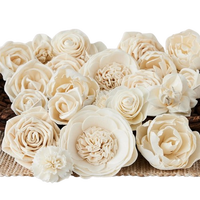 Sola Wood Flower diffuseur de roseau Parfum d'ambiance Fait à la main Sola Flower Echo Friendly Sola Flower Natural to aérer Freshen Reed