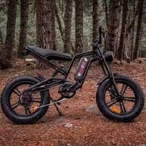 Meilleures ventes Vélo électrique tout-terrain E2 Fat Tire Adventurer - Product Image 1