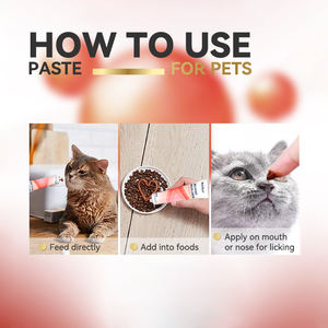 Suplementos <span class=keywords><strong>de</strong></span> hierro para perros Cat Blood Builder para perros Pasta Iron Fight Anemia para perros - Product Image 6