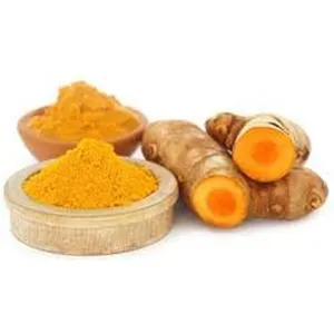 Best Wholesale Price Export Quality 100% Organic Curcumin Extract Powder Herbal Extract for Genuine Buyers