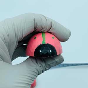 Temperino Artigianale a Forma di Coccinella in Legno Intagliato, Artigianato in Bambù - Product Image 1