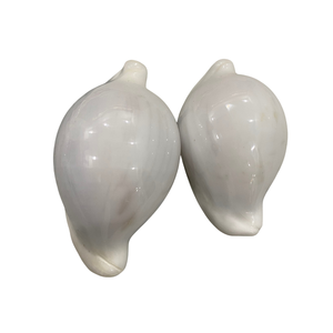 Coquillages d'oeufs naturels Coquillages de mer décoratifs de qualité supérieure pour la fabrication de bijoux Artisanat Aquarium et décoration côtière - Product Image 3