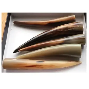 good quality customized For Sale In Bulk Buffalo Horn And Horn Tip/OX Natural Quality OX and Buffalo Horn Tip for sale at price
