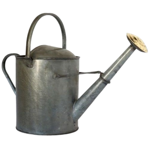 Lata de jardín de Metal decorativa para jardín doméstico, granja, regadera de Metal con acabado galvanizado, artículos de granja y jardín, caña de maceta - Product Image 6