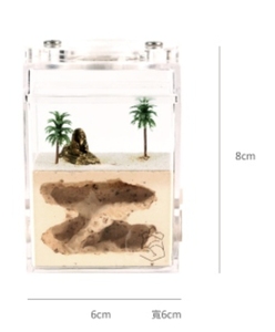 6x6x8cm อะคริลิคแบบผสมผสานการออกแบบสไตล์อียิปต์มดสมุนไพรในบ้าน - Product Image 2