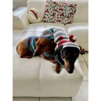 Pull pour chien à motif solide de luxe pour l'automne, le printemps et l'hiver Style moderne et traditionnel pour l'échauffement de Noël