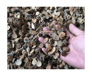 เสื้อเชิ้ตลายมะพร้าวสำหรับเด็กผู้ชายเด็กผู้หญิงลายน่ารักมีกระดุมเสื้อ2รู10มม. กระดุมลายหัวใจสำหรับเด็กผู้ชายเด็กผู้หญิง - Product Image 1