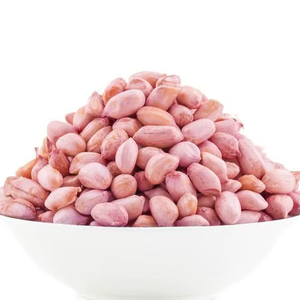Nhà Máy Giá Hữu Cơ Da Đỏ Lạc Đậu phộng Tốt Nhất Giá Bán Buôn Cho Blanched Và Khô Nguyên Đậu phộng Với Da Đỏ - Product Image 1