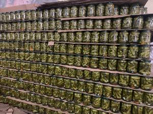 Concombre en conserve très demandé pour la transformation alimentaire, l'usage en marinade et l'approvisionnement en ingrédients commerciaux – Origine Vietnam - Product Image 3