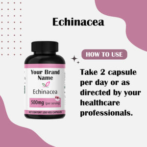 Cápsulas de equinácea 500mg 150 Count Suplemento herbal Etiqueta privada OEM ODM Soporte inmunológico Bienestar Cápsulas DE SALUD diaria - Product Image 5