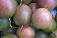 Grosir Grosir Buah Markisa, Penjualan Terbaik, Lezat, Harga Murah, Musim Panen Baru, Tanaman, Jeruk Kustom Segar