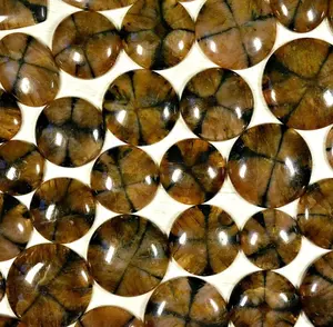 Kualitas Terbaik Harga Grosir Chiastolite Gemstone Menakjubkan Indah Chiastolite Heealing Kristal Batu Longgar Kualitas Tinggi.