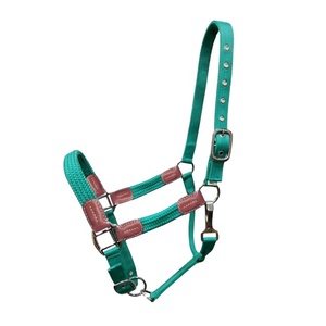 Newly Launched Adjustable Teal Nylon <b>Halter</b> With Brass Plated Hardware Top Supplier Wholesale and Manufacturer Saman Exports - Product Image 1