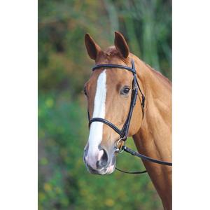 Caballo Anatómico Rosa Oro Detalle Brida Manivela Noseband Flash Negro Marrón CABALLO BRIDLE DELUXE ANATOMIC CUERO ELEVADO - Product Image 5