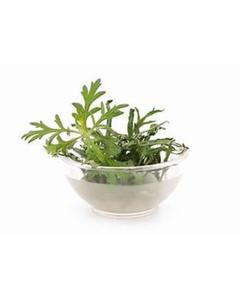 Hojas secas de artemisa de alta calidad para soporte de infusión de hierbas medicinales tradicionales - Product Image 1