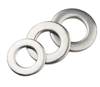 High Precision Din125 Din9021 Metal Flat Washers Stainless Steel A2 A4 304 316 Plain Flat Gasket Washer M4 M6 M8 M16 Flat Bronze