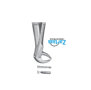 Fórceps de extracción de acero inoxidable de alta calidad Fig 105 exportadores y fabricante - Product Image 2
