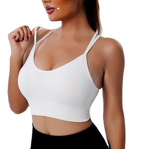 Sujetador deportivo de alta calidad 80% de nailon 20% de Spandex para mujer, Tops de talla grande y ligero para gimnasio, Yoga, Fitness, directo de fábrica - Product Image 1