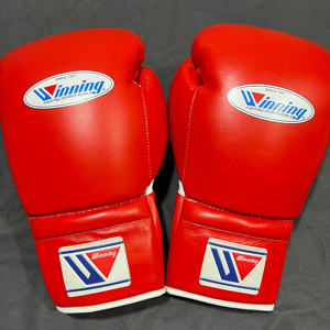 Gants de boxe professionnels RTS à lacets, couleur rouge personnalisée, fabriqués en cuir de vache véritable, pour l'entraînement et la compétition - Product Image 4