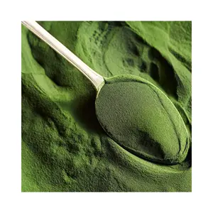 干有机绿色ULVA LACTUCA提取物高级/海莴苣海藻/干ULVA LACTUCA粉海藻粉动物饲料